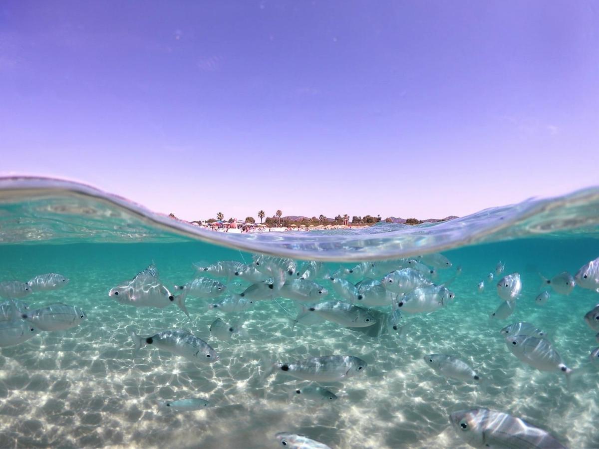 Sardegna Stelladimare Hébergement de vacances *